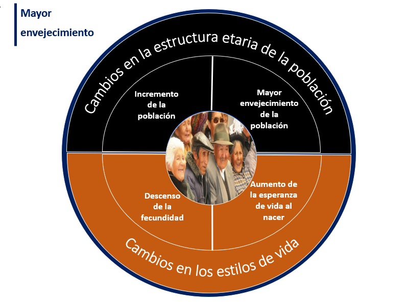 vejez descubre su significado y etapas sorprendentes