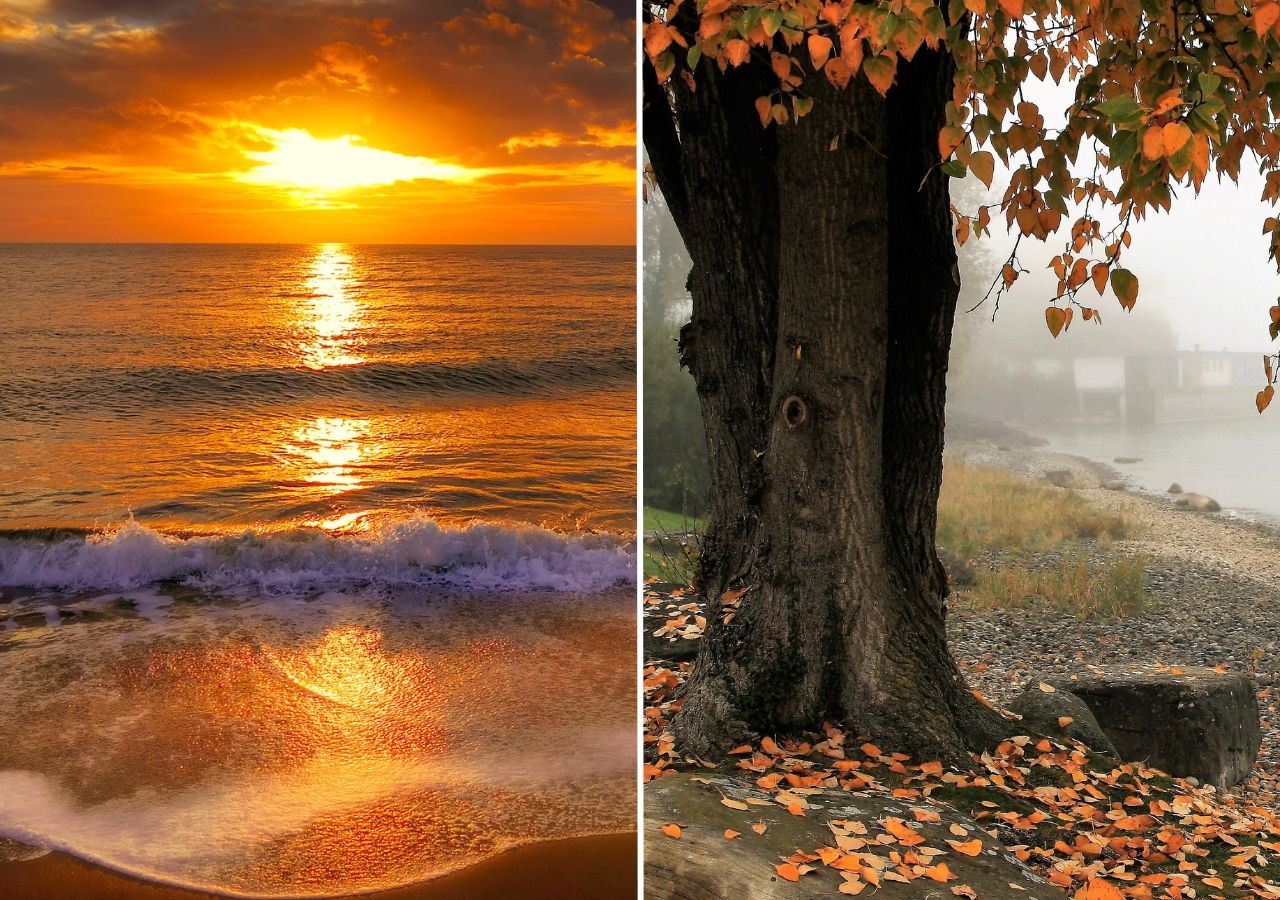 Verano: Qué es la ESTACIÓN ESTIVAL y sus SECRETOS 2 verano que es la estacion estival y sus secretos