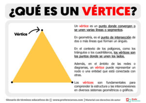vertice que es y por que es fundamental en anatomia