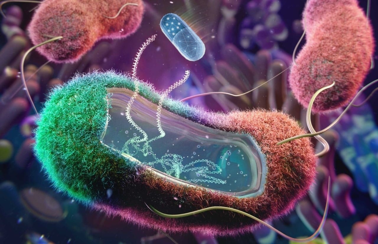 xenobioticos que son y cuales son sus caracteristicas